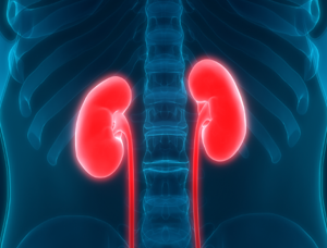 Cintilografia Renal – DTPA – Com IECA